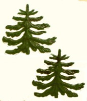 Tannenbaum, gro